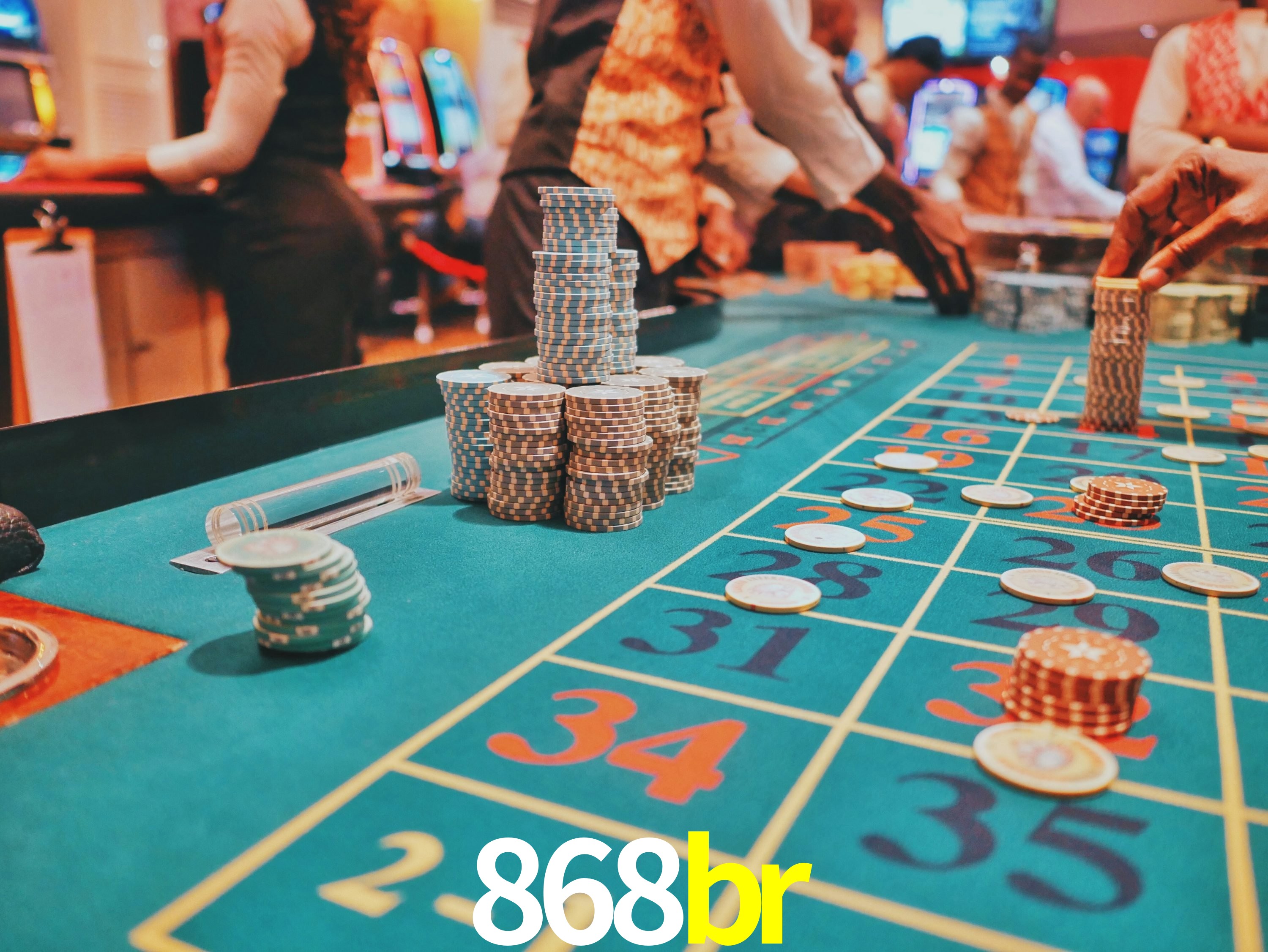 Programa VIP 868br